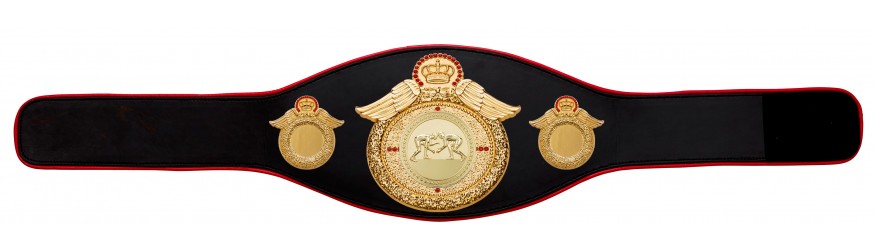 GRAPPLING CHAMPIONSHIP BELT-PROWING/G/GRAPPG-6+ COLOURS